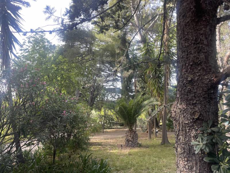 Vente maison mitoyenne neuve de 4 pièces au calme avec accès à un grand jardin boisé classé très recherché dans une résidence standing dans le secteur recherché du Cap Brun à Toulon  